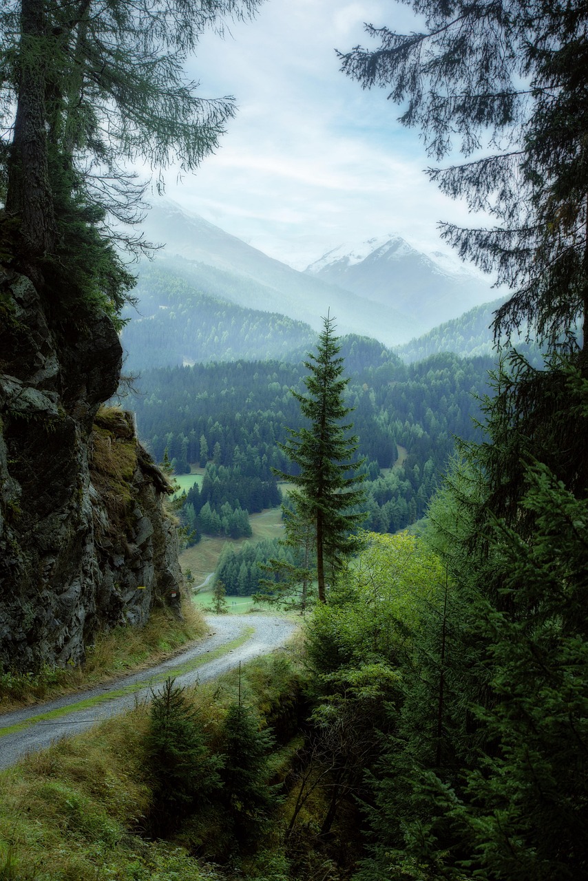 nature, green, earth, road, sky, wood, forrest, forrest, forrest, forrest, forrest, forrest